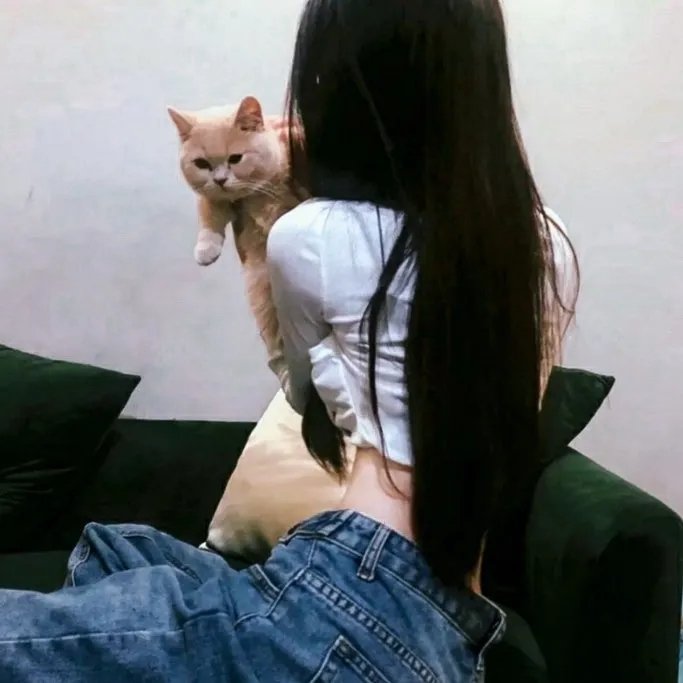 皎洁的月亮
